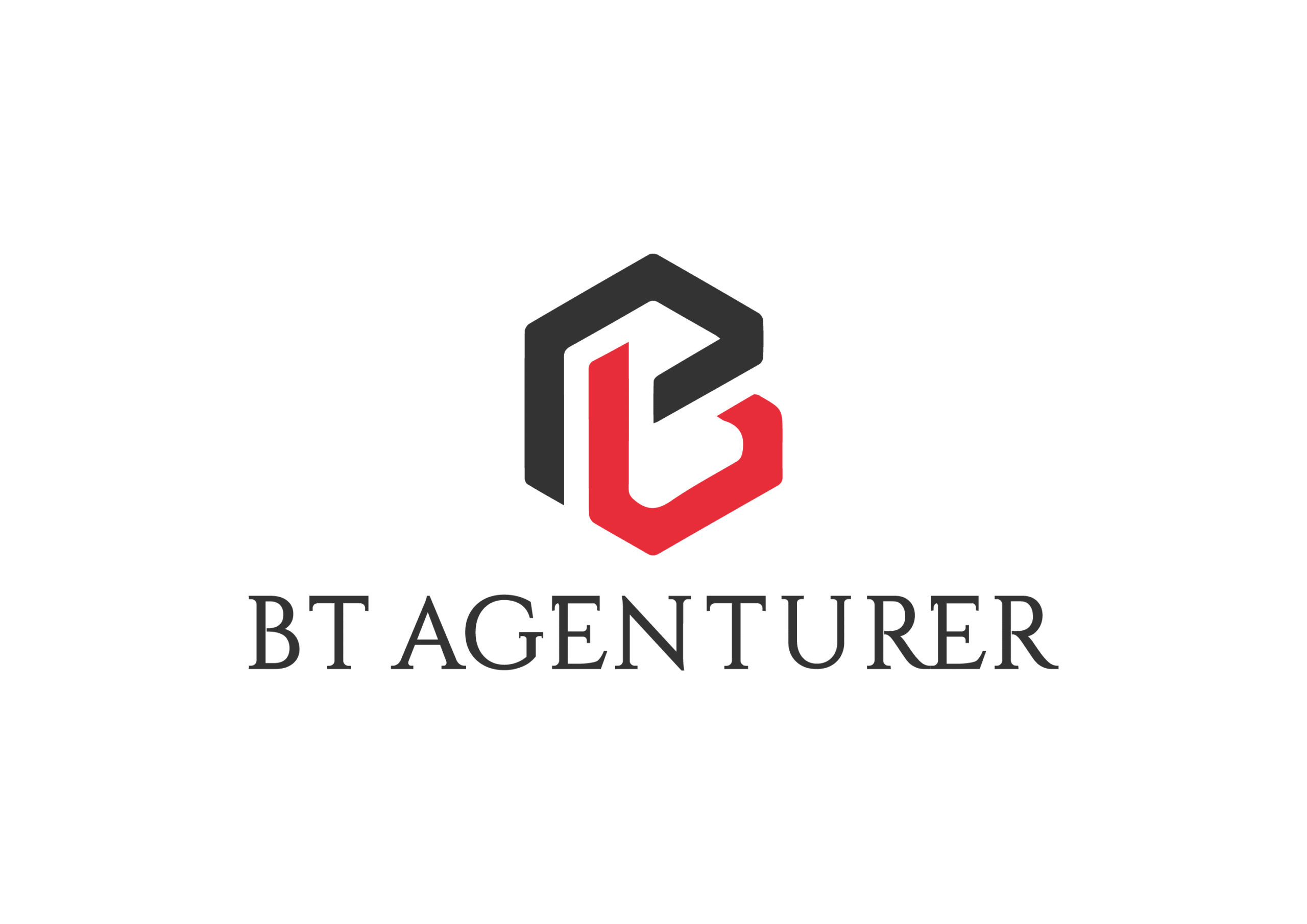 BT Agenturer – Marked, Produksjon og Nettverk